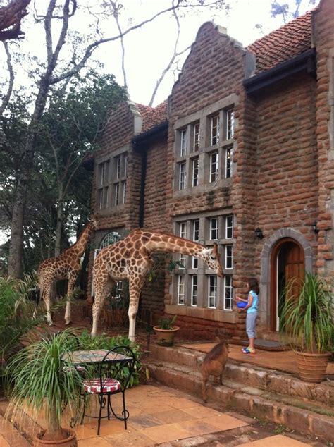 Giraffe Manor Prices 2021